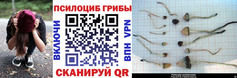 Галлюциногенные грибы MAGIC MUSHROOMS  Велиж 